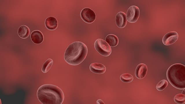 гемоглобин и как его повысить